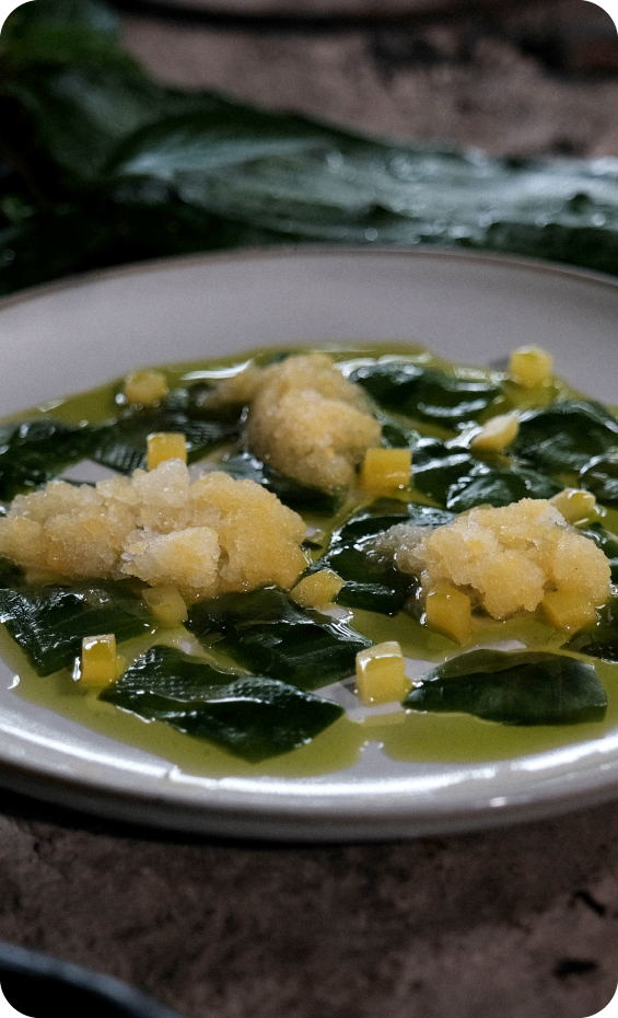 Carpaccio de nopal curado con mango y aceite verde - La Favorita