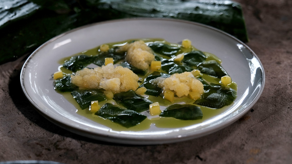 Carpaccio de nopal curado con mango y aceite verde - La Favorita